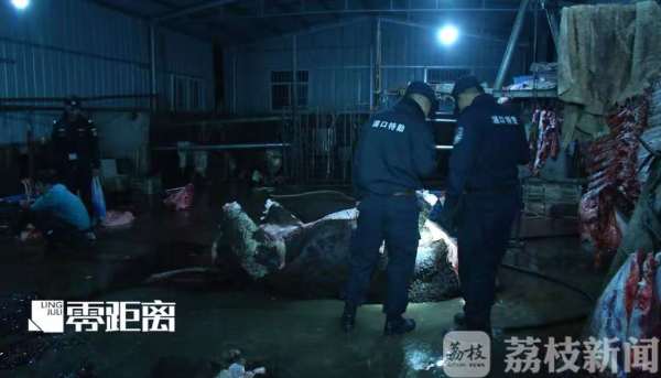 宰牛作坊给活牛注水:12小时注水120斤 牛流泪下跪