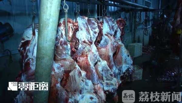 宰牛作坊给活牛注水:12小时注水120斤 牛流泪下跪