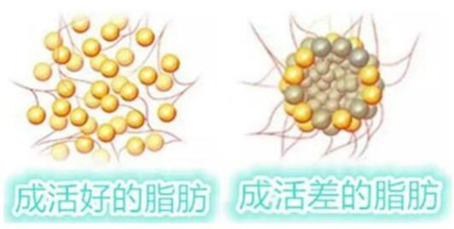 1575255588147704.png 图片2.png