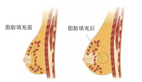 1575255573753146.png 图片1.png